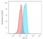 Flow cytometry testing of human MCF7 cells with E-Cadherin/Cadherin 1 antibody (clone 4A2); Red=isotype control, Blue= E-Cadherin antibody.