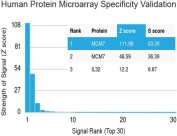 MCM7 Antibody Microarray Specificity Validated MCM7/1467 - protein microarray specificity validation. Analysis of a HuProt(TM) microarray containing more than 19,000 full-length human proteins was performed using MCM7 Antibody Microarray Specificity Validated MCM7/1467. The strongest binding signals correspond to MCM7, which ranks first and second on the array, demonstrating strong specificity of the MCM7/1467 mouse monoclonal antibody for its intended target. Z- and S-scores quantify antibody binding strength and target specificity. The Z-score represents the signal intensity produced when the antibody, together with a fluorescently labeled anti-IgG secondary antibody, binds to a protein on the array and is expressed as standard deviations above the mean signal of the array. When proteins are ordered by descending Z-score, the S-score represents the difference between adjacent Z-scores and therefore reflects the relative specificity of the antibody for its target protein.