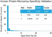 p53 Antibody Clone PAb 122 / TP53 Tumor Suppressor Antibody Clone PAb 122. Protein microarray specificity validation using a HuProt(TM) human protein array containing more than 19,000 full-length human proteins demonstrates strong selective binding of the p53 Antibody Clone PAb 122 to TP53. The ranked signal plot shows TP53 as the dominant target with a markedly elevated signal compared with other proteins on the array, indicating high specificity of clone PAb 122 for Tumor protein p53.<BR>The Z-score represents the strength of antibody binding to each protein target detected using a fluorescently labeled secondary antibody. Z-scores are expressed in standard deviations above the mean signal across the array. Proteins are ranked by descending Z-score, and the S-score represents the difference between adjacent Z-scores in the ranked list. A high S-score indicates strong specificity of the antibody for its intended target relative to other proteins present on the array.