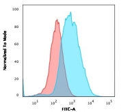 EpCAM Antibody FACS. Flow cytometry analysis using EpCAM Antibody / Epithelial Cell Marker Antibody (clone EGP40/1372) demonstrates a pronounced rightward shift of the stained cell population (blue) relative to the negative control population (red), indicating specific cell surface binding to Epithelial Cell Adhesion Molecule (EPCAM/CD326). The observed fluorescence shift is consistent with expression of EpCAM, a transmembrane glycoprotein localized to the surface of epithelial cells where it functions in cell-cell adhesion, tissue organization, and epithelial signaling pathways. Recognition of an extracellular domain epitope by clone EGP40/1372 makes this antibody well suited for flow cytometric detection of viable epithelial cell populations and epithelial-derived tumor cells. The results support the utility of this antibody for identification, characterization, and isolation of EpCAM-positive cells in flow cytometry applications.