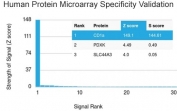 CD1A Antibody. Protein microarray analysis of CD1A / CD1a specificity using a HuProt(TM) array containing more than 19,000 full-length human proteins and CD1A Antibody. CD1A produces the highest signal intensity with strong separation from the next highest-ranking proteins, supporting selective detection consistent with its expression in dendritic lineage cells. Z-score represents signal strength relative to the array mean, while S-score reflects the degree of separation between CD1A and non-target proteins, indicating highly specific recognition with clear target discrimination across the protein panel.