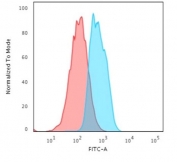 Flow cytometry testing of human MCF7 cells with E-Cadherin antibody (clone CDH1/2208R); Red=isotype control, Blue= E-Cadherin antibody.