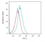Flow cytometry testing of human HEK293 cells with Cadherin 16 antibody (clone rCDH16/1071); Red=isotype control, Blue= Cadherin 16 antibody.