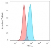 Beta-Catenin Antibody HeLa Cell FACS. Flow cytometry analysis of PFA-fixed human HeLa cells using Beta-Catenin Antibody (clone CTNNB1/2030R) shows a clear rightward shift of the blue population relative to the red isotype control, indicating specific detection of CTNNB1 / Catenin beta-1 expression. The signal distribution supports intracellular localization consistent with beta-cateninâs cytoplasmic and membrane-associated pools following fixation and permeabilization. Red represents isotype control and blue represents recombinant beta-catenin antibody staining.