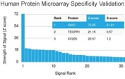Analysis of HuProt(TM) microarray containing more than 19,000 full-length human proteins using recombinant Kappa antibody (clone rKLC264). These results demonstrate the foremost specificity of the rKLC264 mAb.  Z- and S- score: The Z-score represents the strength of a signal that an antibody (in combination with a fluorescently-tagged anti-IgG secondary Ab) produces when binding to a particular protein on the HuProt(TM) array. Z-scores are described in units of standard deviations (SD's) above the mean value of all signals generated on that array. If the targets on the HuProt(TM) are arranged in descending order of the Z-score, the S-score is the difference (also in units of SD's) between the Z-scores. The S-score therefore represents the relative target specificity of an Ab to its intended target.