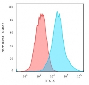 Flow cytometry testing of PFA-fixed human MCF7 cells with recombinant Cytokeratin 19 antibody (clone rKRT19/799); Red=isotype control, Blue= recombinant Cytokeratin 19 antibody.
