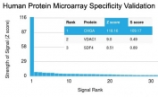 Analysis of HuProt(TM) microarray containing more than 19,000 full-length human proteins using Chromogranin A antibody (clone CHGA/1731R). These results demonstrate the foremost specificity of the CHGA/1731R mAb. Z- and S- score: The Z-score represents the strength of a signal that an antibody (in combination with a fluorescently-tagged anti-IgG secondary Ab) produces when binding to a particular protein on the HuProt(TM) array. Z-scores are described in units of standard deviations (SD's) above the mean value of all signals generated on that array. If the targets on the HuProt(TM) are arranged in descending order of the Z-score, the S-score is the difference (also in units of SD's) between the Z-scores. The S-score therefore represents the relative target specificity of an Ab to its intended target.