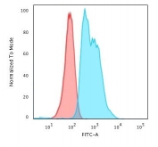 ZAP70 Antibody / T-cell Activation Threshold Antibody. Flow cytometry analysis of PFA-fixed human Jurkat T lymphocyte cells using ZAP70 Antibody / T-cell Activation Threshold Antibody (clone ZPT70-2). Cells were fixed and permeabilized to enable intracellular detection of Zeta-chain-associated protein kinase 70 (ZAP70), a key regulator of signaling sensitivity and activation thresholds in T cells. The blue histogram shows a clear rightward fluorescence shift compared to the red isotype control, indicating specific intracellular ZAP70 staining. The distribution and breadth of the signal are consistent with heterogeneous ZAP70 expression levels that reflect differences in signaling strength and activation potential within the cell population, supporting its role in T-cell activation threshold regulation.