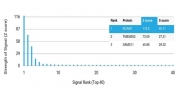 Analysis of a HuProt(TM) microarray containing more than 19,000 full-length human proteins using CD56 antibody (clone NCAM/7520). Z- and S- Score: The Z-score represents the strength of a signal that a monoclonal antibody (in combination with a fluorescently-tagged anti-IgG secondary antibody) produces when binding to a particular protein on the HuProt(TM) array. Z-scores are described in units of standard deviations (SD's) above the mean value of all signals generated on that array. If targets on HuProt(TM) are arranged in descending order of the Z-score, the S-score is the difference (also in units of SD's) between the Z-score. S-score therefore represents the relative target specificity of a mAb to its intended target. A mAb is considered to specific to its intended target, if the mAb has an S-score of at least 2.5. For example, if a mAb binds to protein X with a Z-score of 43 and to protein Y with a Z-score of 14, then the S-score for the binding of that mAb to protein X is equal to 29.