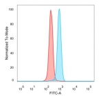 SKIP Antibody HeLa FACS. Flow cytometry analysis of PFA-fixed human HeLa cells stained with SKIP Antibody / Transcriptional Coregulator Protein clone PCRP-SNW1-2A1 followed by goat anti-mouse IgG-CF488. Blue histogram represents SKIP antibody staining, while red indicates unstained control cells. The distinct fluorescence shift supports detection of endogenous Ski-interacting protein / SNW1 expression in human HeLa cells, consistent with the broad cellular distribution reported for this signaling-associated transcriptional coregulator.