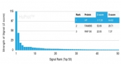 Analysis of a HuProt(TM) microarray containing more than 19,000 full-length human proteins using Haptoglobin antibody (clone HP/3832). Z- and S- Score: The Z-score represents the strength of a signal that a monoclonal antibody (in combination with a fluorescently-tagged anti-IgG secondary antibody) produces when binding to a particular protein on the HuProt(TM) array. Z-scores are described in units of standard deviations (SD's) above the mean value of all signals generated on that array. If targets on HuProt(TM) are arranged in descending order of the Z-score, the S-score is the difference (also in units of SD's) between the Z-score. S-score therefore represents the relative target specificity of a mAb to its intended target. A mAb is considered to specific to its intended target, if the mAb has an S-score of at least 2.5. For example, if a mAb binds to protein X with a Z-score of 43 and to protein Y with a Z-score of 14, then the S-score for the binding of that mAb to protein X is equal to 29.