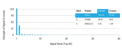Forkhead Box I1 Antibody HuProt Microarray Specificity Validation. Analysis of a HuProt(TM) microarray containing more than 19,000 full-length human proteins using Forkhead Box I1 Antibody / Microarray Specificity Validated Antibody clone PCRP-FOXI1-1C4 demonstrates highly selective recognition of Forkhead box protein I1 / FOXI1. The intended FOXI1 target ranks first among all proteins analyzed on the array, with exceptionally strong separation from secondary signals including related forkhead family proteins, supporting the specificity profile of this mouse monoclonal antibody for transcription factor and developmental signaling research applications. Z-score represents signal intensity above background in standard deviation units, while S-score reflects the relative specificity of antibody binding compared with additional proteins present on the HuProt(TM) platform.