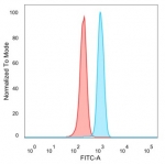 Interferon Regulatory Factor 3 Antibody HeLa FACS. Flow cytometry analysis of PFA-fixed human HeLa cells stained with Interferon Regulatory Factor 3 Antibody demonstrates a distinct right-shifted fluorescence population relative to unstained cells, consistent with IRF3-associated antiviral signaling and interferon regulatory pathway expression. This antiviral response protein antibody supports characterization of innate immune-associated transcriptional regulatory proteins in epithelial-derived cells. Blue=IRF3 antibody, Red=unstained cells.