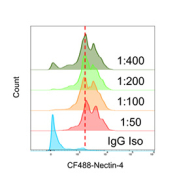 Flow cytometry analysis of Poliovirus receptor related 4 / NECTIN4 antibody (clone NECTIN4/13438R) in human T47D breast carcinoma cells. Cells were incubated with recombinant rabbit anti-Nectin-4 monoclonal antibody at dilutions of 1:50 (4 ug/ml; dark red), 1:100 (2 ug/ml; orange), 1:200 (1 ug/ml; light green), and 1:400 (0.5 ug/ml; dark green), followed by goat anti-rabbit IgG-CF488 secondary antibody. CF488 fluorescence intensity (log10 scale, x-axis) is plotted against relative cell count (y-axis). Increasing antibody concentration produces progressive rightward shifts of the fluorescence peak, consistent with dilution-dependent binding to cell-surface Nectin-4. The blue histogram represents the IgG isotype control.