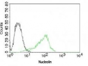 Flow cytometry testing of human 293 cells with isotype control and  Alexa Fluor 488-labeled C23/Nucleolin Antibody (green, clone NPC23-2).