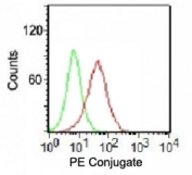 Ku70 + Ku80 PE Antibody for FACS / XRCC6 + XRCC5 Intracellular Flow Cytometry Antibody. Flow cytometry analysis of human K562 cells using Ku70 + Ku80 antibody clone LKAP1-1. Cells were fixed and permeabilized to enable intracellular detection of the nuclear Ku heterodimer. The red histogram (PE-conjugated Ku70 + Ku80 antibody) shows a clear rightward shift compared to the green histogram (isotype control), indicating specific staining of XRCC6/XRCC5. The signal demonstrates strong separation of positive and negative populations, consistent with intracellular detection of nuclear DNA repair proteins in permeabilized cells.