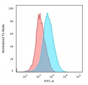 CD1A Antibody for FACS Clone SPM120. Flow cytometry analysis of CD1A / CD1a expression in human Jurkat cells using CD1A Antibody for FACS Clone SPM120. The histogram shows a rightward fluorescence shift of stained cells (blue) compared to the isotype control (red), indicating detectable surface signal. This staining profile supports identification of CD1a-positive events and enables downstream cell sorting and enrichment of defined immune cell subsets for further analysis.