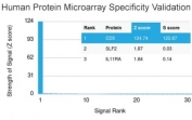 CD5 Antibody Clone CD5/2419. Protein microarray specificity analysis using a HuProt microarray containing more than 19,000 full-length human proteins demonstrates highly selective binding of the CD5/2419 monoclonal antibody to CD5. CD5 is identified as the top-ranked target with strong signal intensity (Z-score ~124.74) and clear separation from the next highest signals (S-score ~122.87), while all other proteins show minimal background binding. The Z-score reflects signal strength relative to the array mean, and the S-score represents the separation between the intended target and the next ranked protein, indicating relative specificity. These results support the high specificity of the CD5/2419 antibody for its intended target in proteome-scale screening.