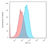Albumin Antibody HepG2 FACS. Flow cytometry analysis of paraformaldehyde-fixed human HepG2 cells using Albumin antibody shows a clear rightward shift in fluorescence intensity compared to the isotype control, consistent with intracellular detection of ALB and supporting cytoplasmic localization of this liver-derived serum protein; blue histogram represents Albumin antibody staining and red histogram represents isotype control, with detection performed using clone ALB/2356.