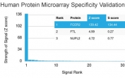 Protein microarray validation of CD23 Antibody - Protein Microarray Validated (clone FCER2/3592). Analysis of the HuProt microarray containing more than 19,000 full-length human proteins was performed using CD23 antibody clone FCER2/3592. The antibody demonstrates highest reactivity with FCER2, confirming target specificity, with markedly lower signal intensity observed for non-target proteins. These results support the specificity of the FCER2/3592 monoclonal antibody for CD23.<BR>Z- and S-score explanation: The Z-score represents the strength of the fluorescent signal generated when the antibody binds to a specific protein on the HuProt array, expressed as standard deviations above the mean signal of all proteins on the array. When proteins are ranked in descending order by Z-score, the S-score represents the difference in Z-scores between sequentially ranked proteins. The S-score therefore reflects the relative specificity of the antibody for its intended target compared to other proteins present on the array.