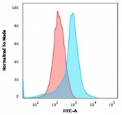 ICOSL Antibody U937 Cell FACS. Flow cytometry analysis of human U937 cells stained with clone ICOSL/3111 (blue) and matched isotype control (red). The observed fluorescence shift demonstrates surface-associated expression of Inducible T-cell costimulator ligand / ICOSLG, consistent with its role as a B7 family costimulatory ligand involved in antigen-presenting cell signaling and adaptive immune activation pathways regulating T-cell responses.