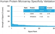 ICOSL Antibody Protein Microarray Validation. Analysis of HuProt(TM) microarray containing more than 19,000 full-length human proteins using clone ICOSL/3111. These results demonstrate high specificity of the mouse monoclonal antibody for Inducible T-cell costimulator ligand / ICOSLG, a B7 family immune checkpoint ligand involved in adaptive immune activation and T-cell costimulation signaling. Z- and S-score analysis confirms strong preferential binding to the intended target relative to non-specific proteins represented on the HuProt(TM) array. The Z-score represents the signal strength generated by antibody binding to an individual protein relative to the overall array background, while the S-score reflects the relative specificity gap between the top-ranked target and subsequent proteins on the array.