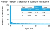 TIGIT Antibody Microarray Specificity Validation. Analysis of HuProt(TM) microarray containing more than 19,000 full-length human proteins using TIGIT Antibody (clone TIGIT/3017) demonstrates highly specific detection of TIGIT, an immune checkpoint marker involved in T cell and NK cell regulation. The antibody shows a dominant signal for TIGIT with strong separation from other proteins on the array, supporting the high specificity of clone TIGIT/3017 for its intended target. Z- and S-score: The Z-score represents the strength of signal generated when the antibody binds to a protein on the array, expressed as standard deviations above the mean signal, while the S-score reflects the difference between sequential Z-scores and indicates relative specificity compared to potential off-target interactions.