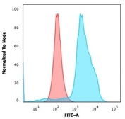 TIGIT Antibody MOLT-4 FACS. Flow cytometry analysis of PFA-fixed human MOLT-4 cells using TIGIT Antibody (clone TIGIT/3017) shows a clear rightward shift in fluorescence intensity compared to isotype control, indicating cell surface TIGIT expression consistent with its role as an immune checkpoint marker on T cell populations involved in activation and inhibitory signaling.