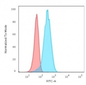 UCHL1 Antibody for FACS. Flow cytometry analysis of UCHL1 / PGP9.5 in human T98G cells. Permeabilized human T98G cells stained with UCHL1 Antibody for FACS, also known as PGP9.5 Flow Cytometry Antibody and Ubiquitin C-terminal hydrolase L1 antibody, show a pronounced rightward shift in fluorescence intensity (blue) compared to isotype control (red), indicating specific intracellular detection of UCHL1. The clear separation between populations supports accurate gating of UCHL1-positive cells and consistent fluorescence signal distribution for quantitative analysis. Clone rUBCE-L1 antibody demonstrates strong intracellular signal with low background, enabling reliable discrimination of expressing versus non-expressing cell populations.