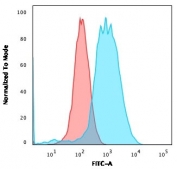 Estrogen Receptor alpha Antibody for FACS MCF7 Cell. Flow cytometry analysis of permeabilized human MCF7 cells using Estrogen Receptor alpha antibody shows a clear rightward shift in fluorescence intensity compared to the isotype control, consistent with intracellular detection of ESR1 in hormone-responsive breast cancer cells; red histogram represents isotype control and blue histogram represents Estrogen Receptor alpha antibody staining, with detection performed using clone ESR1/3559.