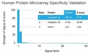 HuProt protein microarray specificity analysis of Uroplakin 1A antibody (clone UPK1A/2925). The antibody was evaluated against a HuProt array containing more than 19,000 full-length human proteins. Signal intensity is expressed as a Z-score, representing the number of standard deviations above the mean signal generated across the array when the antibody, together with a fluorescently labeled anti-IgG secondary antibody, binds to a given protein. Proteins are ranked in descending order by Z-score, and the S-score reflects the difference in Z-scores between the top-ranked protein and the next highest signal, providing a quantitative measure of relative target specificity. Clone UPK1A/2925 demonstrates a markedly elevated Z-score for Uroplakin 1A with strong S-score separation from other proteins, supporting highly specific recognition of UPK1A on the array and confirming its microarray validated status.