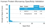 Granzyme B Antibody Protein Microarray Validation. Protein microarray specificity analysis of Granzyme B Antibody (clone GZMB/3014) was performed using the HuProtâ¢ Human Protein Microarray containing more than 19,000 full-length human proteins. Granzyme B Antibody, a Cytotoxic Lymphocyte Marker Antibody, demonstrated exceptional specificity for GZMB with a Z-score of 137.78 and an S-score of 122.67, indicating highly selective target recognition with minimal cross-reactivity. The Z-score reflects binding signal strength above the array mean, while the S-score measures specificity by comparing the intended target with the next highest-ranking proteins.