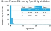p53 Antibody Clone DO-1 / TP53 Tumor Suppressor Antibody. Protein microarray specificity validation using a HuProt(TM) human protein array containing more than 19,000 full-length human proteins demonstrates strong selective binding of p53 Antibody Clone DO-1 to TP53. The ranked signal plot shows TP53 as the dominant target with the highest signal intensity compared with other proteins on the array, supporting the specificity of clone DO-1 for Tumor protein p53.<BR>The Z-score represents the strength of antibody binding to each protein target detected using a fluorescently labeled secondary antibody. Z-scores are expressed in standard deviations above the mean signal across the array. Proteins are ranked by descending Z-score, and the S-score represents the difference between adjacent Z-scores in the ranked list. A high S-score indicates strong specificity of the antibody for its intended target relative to other proteins present on the array.
