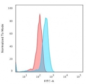 CD8A Antibody for FACS - Jurkat cell line. Flow cytometry analysis of CD8 alpha (CD8A) in human Jurkat cells shows a clear right-shifted population (blue) relative to isotype control (red), consistent with cell surface expression on T lymphocyte-derived cells and enabling accurate identification of CD8-positive populations in a T cell leukemia model. The published clone UCHT4 supports reliable and literature-aligned detection in established flow cytometry workflows (clone UCHT4).