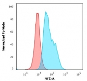 CD22 Antibody for FACS. Flow cytometry analysis of CD22/Siglec-2 expression in human Ramos B cell lymphoma cells using CD22 Flow Cytometry Antibody clone RFB4. The CD22 antibody (blue) demonstrates a clear right-shifted population compared to isotype control (red), indicating strong cell surface expression of CD22 on B cells. This distinct separation supports accurate gating and identification of CD22-positive populations, consistent with its role as a B cell lineage marker in flow cytometry-based immune profiling.