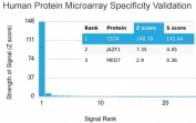 Cystatin A Antibody Microarray Specificity Validation. Protein microarray analysis of Cystatin A / CSTA using mouse monoclonal Cystatin A antibody, clone CSTA/3553, across a HuProt(TM) array containing more than 19,000 full-length human proteins demonstrates highly selective binding to CSTA with minimal off-target interaction. The signal profile shows strong enrichment for CSTA relative to other proteins on the array, supporting high specificity in a proteome-wide context. Z-score represents the strength of antibody binding signal expressed as standard deviations above the mean array signal, while S-score reflects the separation between the top-ranked target and the next highest signal, confirming selective recognition of Cystatin A.