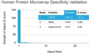FABP1 Antibody Protein Microarray Validation. Human protein microarray specificity analysis of FABP1 antibody clone FABP1/3487 was performed using the HuProt(TM) array containing more than 19,000 full-length human proteins. Clone FABP1/3487 shows strongest reactivity with FABP1, producing a Z-score of 146.19 and an S-score of 142.1, with clear separation from lower-ranking proteins including MLKL and Adiponectin. These findings support the high specificity of this fatty acid transport and lipid metabolism-associated protein antibody for Liver fatty acid-binding protein / FABP1.