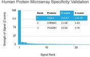 Fas Ligand Antibody Protein Microarray Validation. HuProt microarray analysis of Fas ligand / FASLG specificity using FASLG antibody, clone FASLG/4455, against more than 19,000 full-length human proteins. FASLG is identified as the top-ranked target by Z score with a strong signal intensity and clear separation from the next highest proteins, resulting in a high S score that supports selective target recognition. These results demonstrate preferential binding to Fas ligand with minimal off-target interaction under the tested conditions.