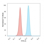 Flow cytometry testing of PFA-fixed human MCF7 cells with HER2 antibody (clone ERBB2/4439R); Red=isotype control, Blue= HER2 antibody.
