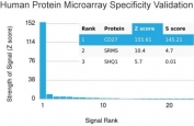 CD27 Antibody Microarray Validation. Protein microarray specificity analysis of CD27 / TNFRSF7 using Protein Microarray Specificity Validated CD27 Antibody clone LPFS2/4177 on a HuProt array containing more than 19,000 full-length human proteins. CD27 shows the highest signal intensity with a Z-score of 155.61 and S-score of 145.21, indicating highly selective binding relative to all other proteins on the array. The Z-score reflects signal strength above the array mean, while the S-score represents the separation between the top-ranked target and the next highest signal, supporting strong target specificity and minimal cross-reactivity.