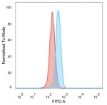 UBR2 Antibody HeLa Cell FACS. Flow cytometry analysis of PFA-fixed human HeLa cells stained with clone PCRP-UBR2-1D12 (blue) and matched isotype control (red). The observed fluorescence shift demonstrates cellular detection of Ubiquitin protein ligase E3 component n-recognin 2 / UBR2, consistent with expression of this ubiquitin pathway regulator involved in N-end rule-mediated protein turnover and intracellular proteostasis signaling.