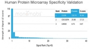 Analysis of HuProt(TM) microarray containing more than 19,000 full-length human proteins using S100B antibody (clone S100B/4140). These results demonstrate the foremost specificity of the S100B/4140 mAb. Z- and S- score: The Z-score represents the strength of a signal that an antibody (in combination with a fluorescently-tagged anti-IgG secondary Ab) produces when binding to a particular protein on the HuProt(TM) array. Z-scores are described in units of standard deviations (SD's) above the mean value of all signals generated on that array. If the targets on the HuProt(TM) are arranged in descending order of the Z-score, the S-score is the difference (also in units of SD's) between the Z-scores. The S-score therefore represents the relative target specificity of an Ab to its intended target.