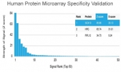 Analysis of HuProt(TM) microarray containing more than 19,000 full-length human proteins using SOX10/Neural Crest Marker antibody (clone SOX10/992). These results demonstrate the foremost specificity of the SOX10/992 mAb. Z- and S- score: The Z-score represents the strength of a signal that an antibody (in combination with a fluorescently-tagged anti-IgG secondary Ab) produces when binding to a particular protein on the HuProt(TM) array. Z-scores are described in units of standard deviations (SD's) above the mean value of all signals generated on that array. If the targets on the HuProt(TM) are arranged in descending order of the Z-score, the S-score is the difference (also in units of SD's) between the Z-scores. The S-score therefore represents the relative target specificity of an Ab to its intended target.