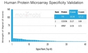Analysis of HuProt(TM) microarray containing more than 19,000 full-length human proteins using Tyrosinase antibody (clone TYR/3829). These results demonstrate the foremost specificity of the TYR/3829 mAb. Z- and S- score: The Z-score represents the strength of a signal that an antibody (in combination with a fluorescently-tagged anti-IgG secondary Ab) produces when binding to a particular protein on the HuProt(TM) array. Z-scores are described in units of standard deviations (SD's) above the mean value of all signals generated on that array. If the targets on the HuProt(TM) are arranged in descending order of the Z-score, the S-score is the difference (also in units of SD's) between the Z-scores. The S-score therefore represents the relative target specificity of an Ab to its intended target.