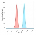 FACS staining of PFA-fixed human HeLa cells with MLX antibody (blue, clone PCRP-MLX-1G8), and unstained cells (red).