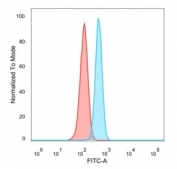 ETS2 Antibody HeLa FACS. Flow cytometry analysis of PFA-fixed human HeLa cells using ETS2 antibody shows a clear rightward shift in fluorescence intensity compared to the isotype control, consistent with intracellular detection of ETS2, a transcription factor involved in MAPK signaling; blue histogram represents ETS2 antibody staining and red histogram represents isotype control, with detection performed using clone PCRP-ETS2-1D9.