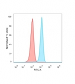 FRA2 Antibody FACS. Flow cytometry analysis of PFA-fixed human HeLa cells stained with FRA2 Antibody / FOSL2 AP-1 Transcription Factor Antibody clone PCRP-FOSL2-1B1 (blue) demonstrates a distinct positive fluorescence shift relative to the isotype control (red), consistent with intracellular detection of Fos-related antigen 2 / FOSL2, a nuclear AP-1 family transcription factor involved in proliferation signaling, stress-response pathways, and transcriptional regulation.