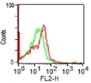 FACS testing of human monocytes with CD56 antibody (clone SPM128)