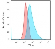 Cytokeratin 17 Antibody for FACS (clone SPM560) flow cytometry analysis of human HeLa cells. Flow cytometry of PFA-fixed human HeLa cells demonstrates a clear rightward fluorescence shift using Cytokeratin 17 Antibody for FACS (clone SPM560), indicating detection of intracellular Cytokeratin 17 (CK17 / KRT17). Red histogram: isotype control. Blue histogram: Cytokeratin 17 antibody staining. The shift in fluorescence intensity confirms specific detection of the epithelial intermediate filament protein Cytokeratin 17 in permeabilized HeLa cells, consistent with the known expression of KRT17 in epithelial-derived cell lines.