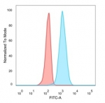 EIF4E Antibody U-87 MG FACS. Flow cytometry analysis of PFA-fixed human U-87 MG cells stained with EIF4E antibody detecting Eukaryotic translation initiation factor 4E, clone PCRP-EIF4E-1D3. The antibody signal (blue) shows a clear rightward shift compared to the isotype control (red), indicating positive intracellular detection of EIF4E following fixation and permeabilization. This pattern is consistent with EIF4E as a cytoplasmic mRNA cap-binding protein involved in translation initiation and regulation of protein synthesis.